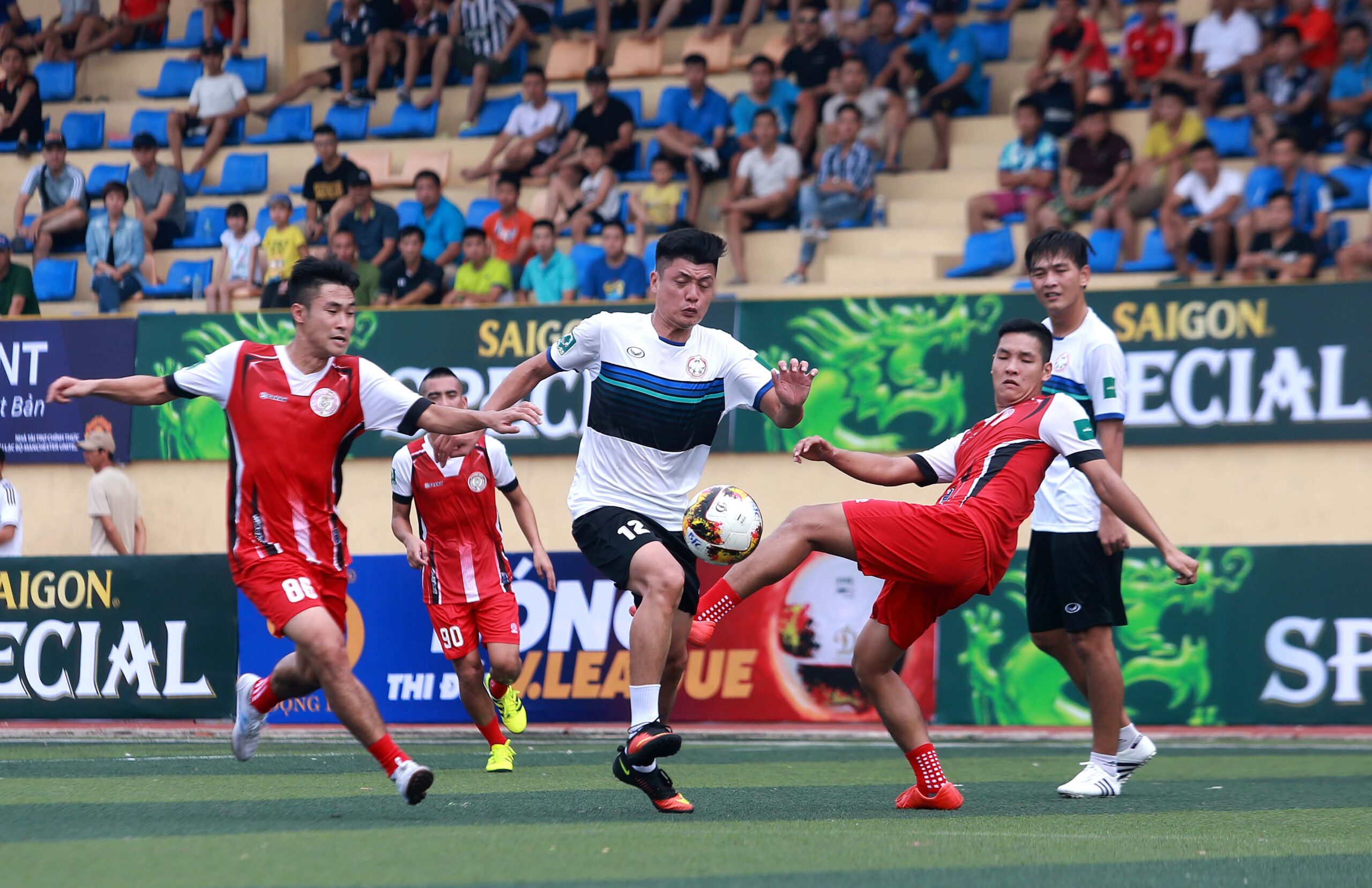 Đá Phủi Là Gì? Khám Phá Nguồn Gốc Và Đặc Điểm Của Đá Phủi